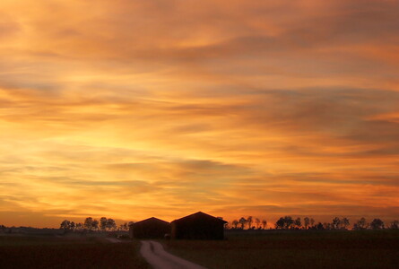 Orange zur Blauen Stunde